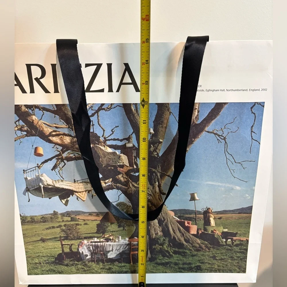 Aritzia shopping gift bag